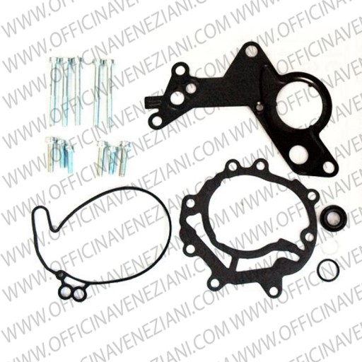 Kit de reparación de bomba en tándem F009D00001 | 038145209A