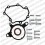 Repair Kit for Tandem pump F009D00001 | 038145209A