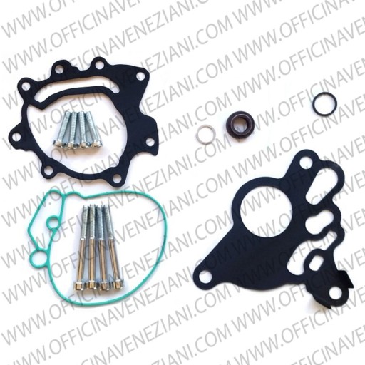 Repair Kit for Tandem pump F009D00001 | 038145209A