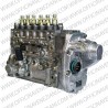 Bomba Bosch PE6P120A320RS8022