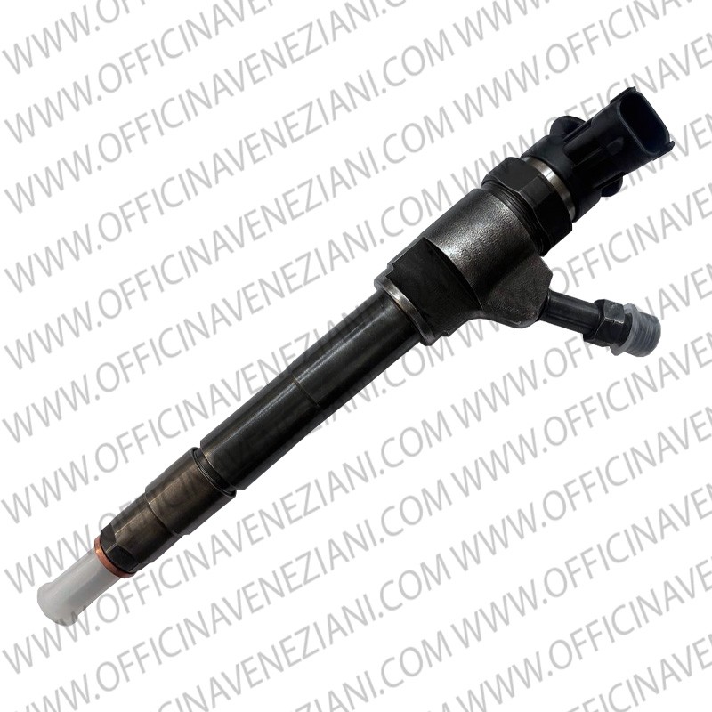 Inyector Bosch 0445110250 | 0986435123