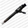 Injector Bosch 0445110250 | 0986435123