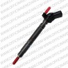 Injector Bosch 0445117045 | 0986435455