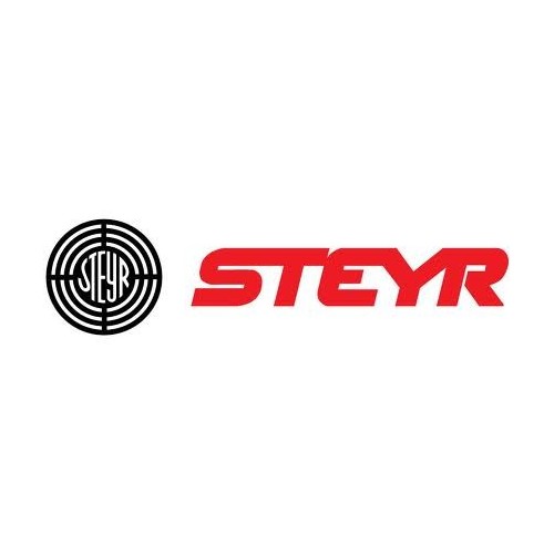 Steyr