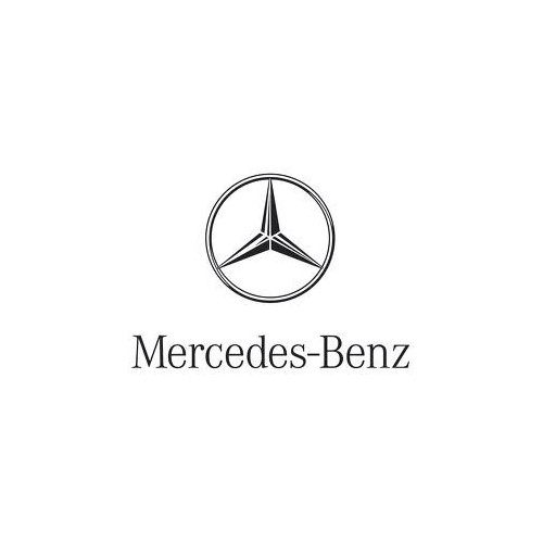 Rimappatura Mercedes