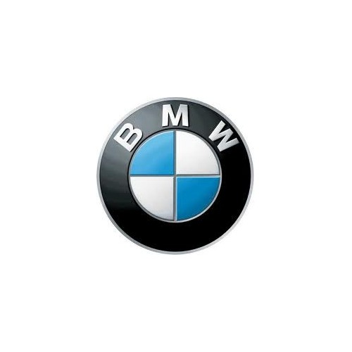 Rimappatura Bmw