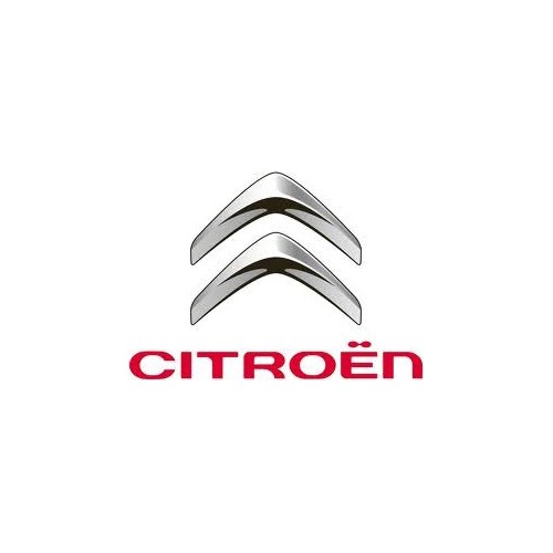 Rimappatura Citroen