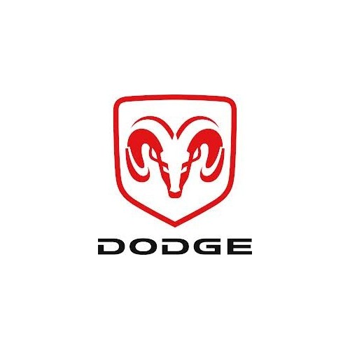 Rimappatura Dodge