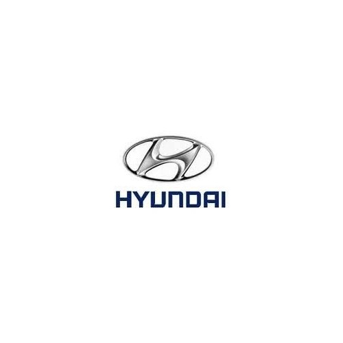 Rimappatura Hyundai