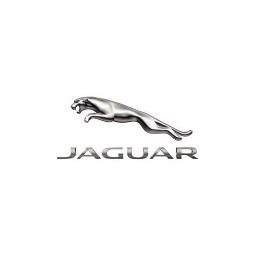 Tuning Jaguar