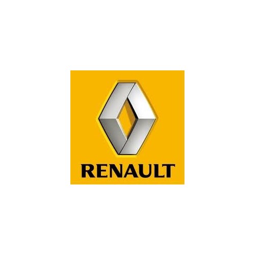 Rimappatura Renault