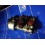 Pompa PES6A80B410