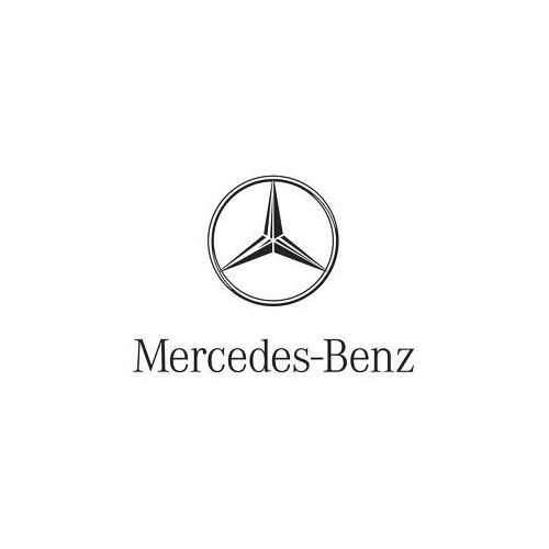 Ecu tuning Mercedes | heavy trucks